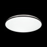 Настенно-потолочный светильник Сонекс VAKA 3042/AL