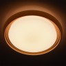 Потолочный светодиодный светильник MW-Light 674011801 Ривз