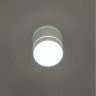 Накладной светильник Citilux CL745020N Борн