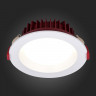 Влагозащищенный светильник ST-Luce ST752.538.12