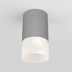 Накладной уличный светильник Elektrostandard Light LED 2106 (35139/H) серый Light LED