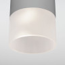 Накладной уличный светильник Elektrostandard Light LED 2106 (35139/H) серый Light LED
