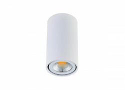 Накладной потолочный светильник Donolux N1595White/RAL9003