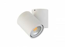 Накладной поворотный светильник Donolux A1594White/RAL9003