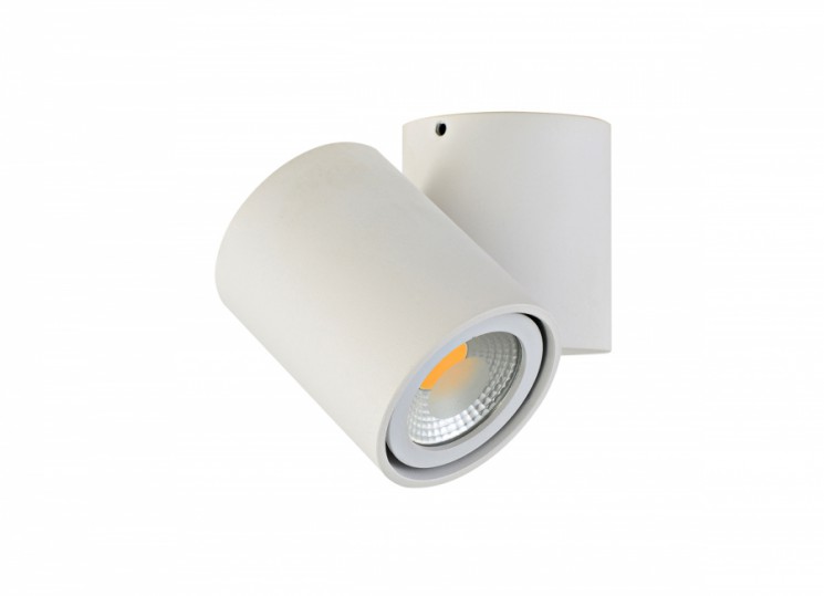 Накладной поворотный светильник Donolux A1594White/RAL9003
