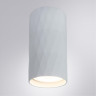 Накладной светильник ARTE Lamp A5557PL-1WH FANG