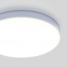 Накладной светильник Elektrostandard DLR043 10W 4200K DLR043