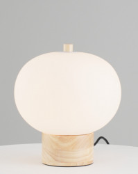 Настольная лампа Moderli V10291-TL Cute