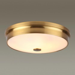 Настенно-потолочный светильник Odeon light 4824/4C MARSEI