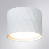 Накладной светильник ARTE Lamp A5552PL-1WH FANG