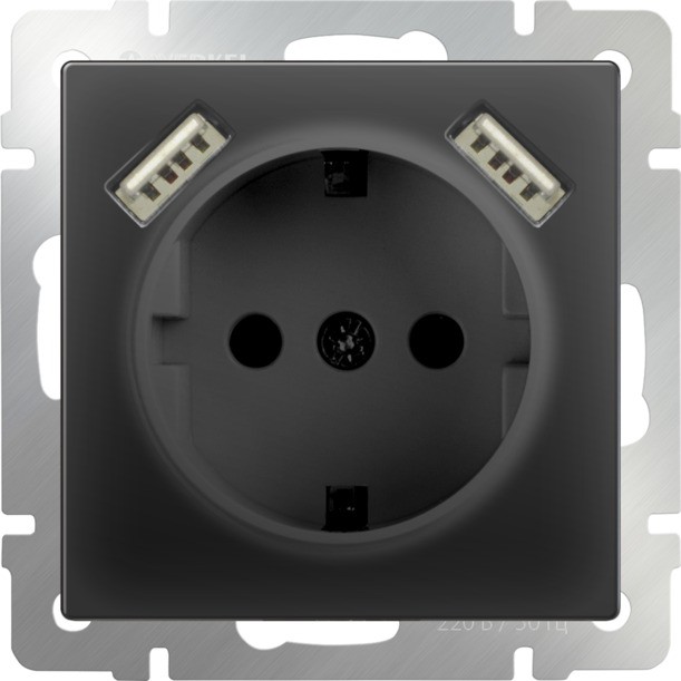 Розетка с заземлением, шторками и USB Werkel W1171508 (WL08-SKGS-USBx2-IP20 черная)