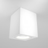 Потолочный светильник Maytoni C013CL-01W Alfa