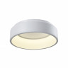 Накладной светильник Moderli V2282-CL Piero