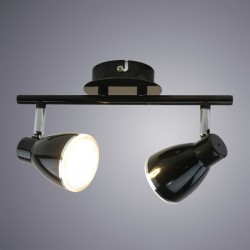 Светильник потолочный Arte lamp GIOVED A6008PL-2BK