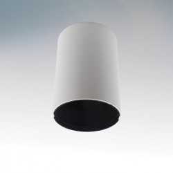 Светильник накладной Lightstar 214410