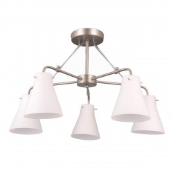 Потолочная люстра Vele Luce Fedele VL1365L05