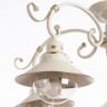 Светильник потолочный Arte lamp GRAZIOSO A4577PL-5WG