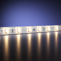 Светодиодная лента Maytoni(Led Strip) Technical  24В 2835 7,2Вт/м 3000К 5м IP 65 201027
