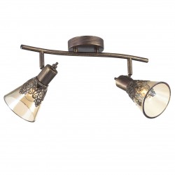 Потолочный светильник Favourite 1795-2U Gumbata