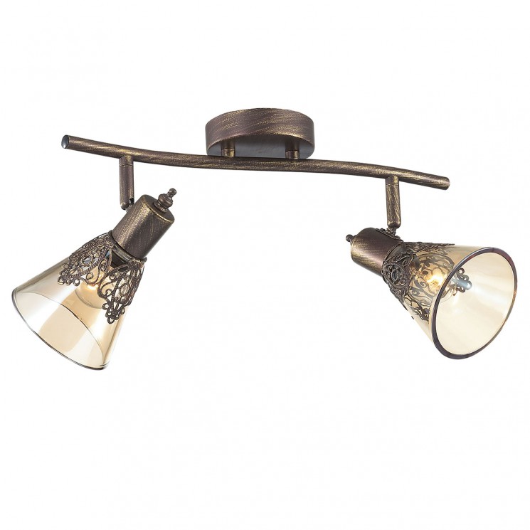 Потолочный светильник Favourite 1795-2U Gumbata