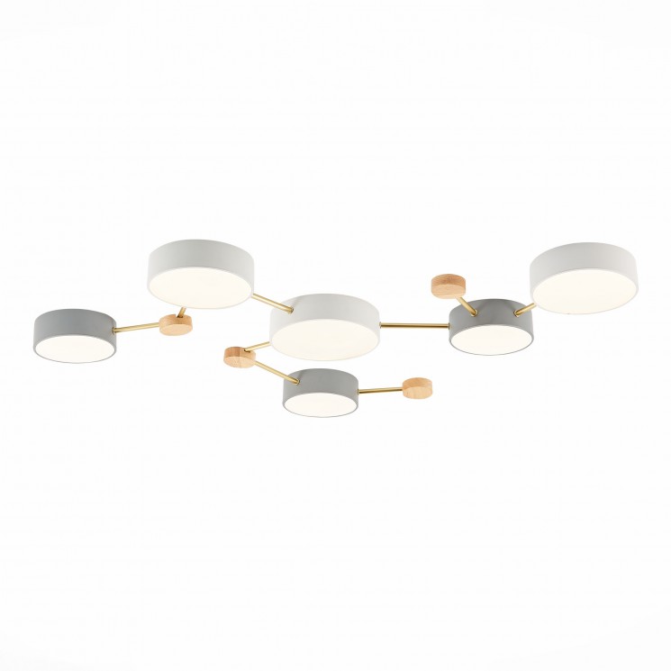 Светильник потолочный Evoluce SLE600102-06 DOSSENA