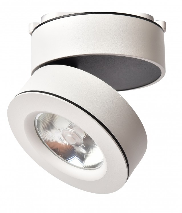 Светильник потолочный Arte lamp A2511PL-1WH VELA