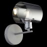 Светильник настенный Freya FR5024WL-01GR Seona