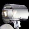 Светильник настенный Freya FR5024WL-01GR Seona