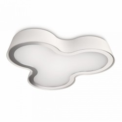 Светильник настенно-потолочный Philips 32065/31/16 ip44