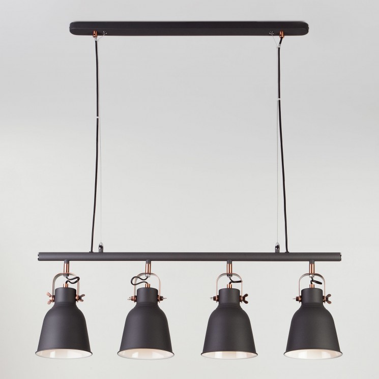 Подвесной светильник Eurosvet 50083/4 черный Projector