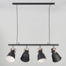 Подвесной светильник Eurosvet 50083/4 черный Projector