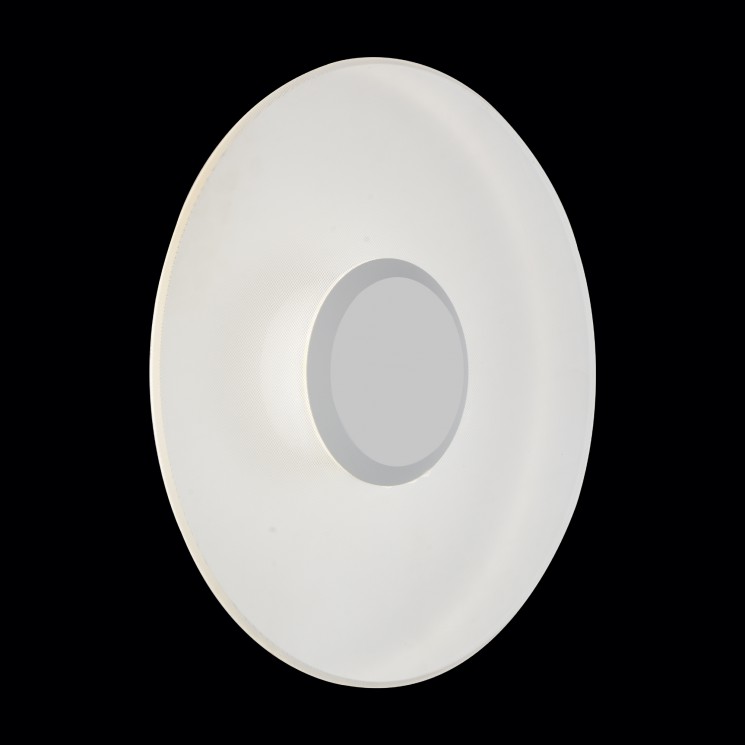 Светильник уличный настенно- потолочный ST-Luce SL925.501.01 SOTTI