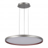 Светильник подвесной ST Luce Темно-Серый/Белый LED 1*45W 3000K-6000K         SL6015.413.01