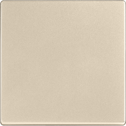 Клавиша для выключателя перекрестного шампань Werkel W1119011 (WL11-SW-1G-C-CP)