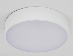 Светильник настенно-потолочный Citilux CL712R120