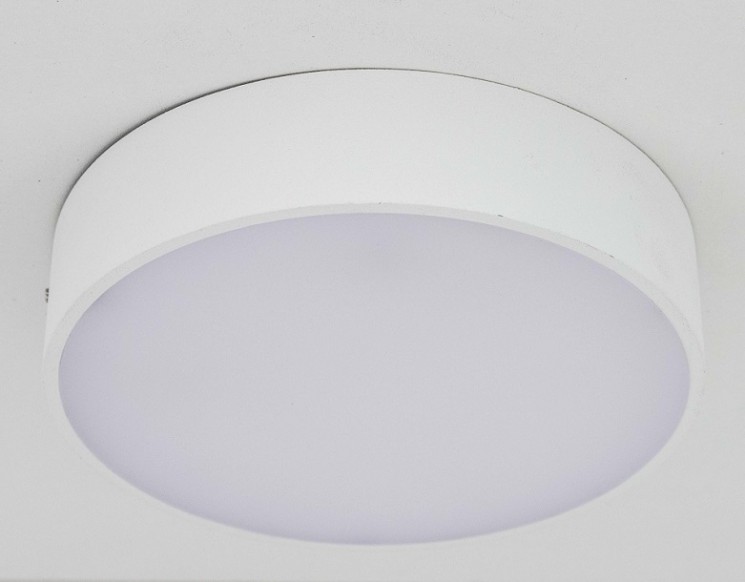 Светильник настенно-потолочный Citilux CL712R120