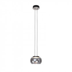 Подвесной светильник Favourite 4376-1P Trendig