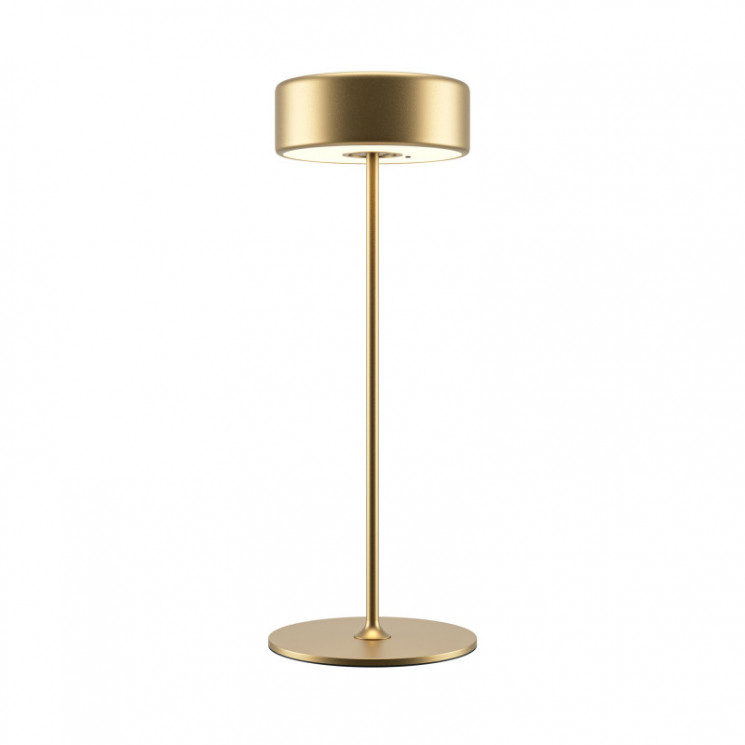 Настольная лампа Maytoni MOD229TL-L3G3K2 AI Collaboration