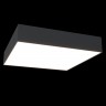 Потолочный светильник Maytoni C067CL-L40B3K Zon