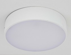 Светильник настенно-потолочный Citilux CL712R180