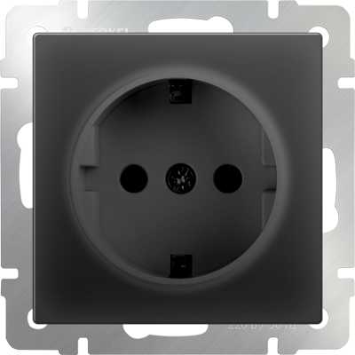 Розетка с заземлением Werkel W1171008 (WL08-SKG-01-IP20) черный матовый