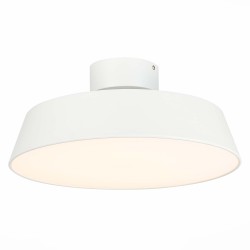 Светильник потолочный Evoluce SLE600252-01