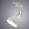 Светильник потолочный Arte lamp NIDO A5108PL-1WH