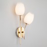 Настенный светильник Eurosvet 30135/2 золото Tulip