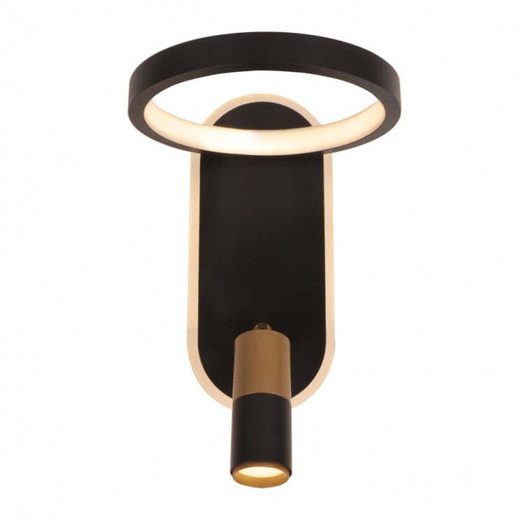 Светильник настенный Arte Lamp TOLIMAN A2613AP-2BK