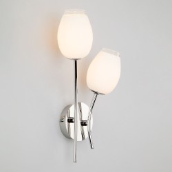 Настенный светильник Eurosvet 30135/2 хром Tulip