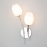 Настенный светильник Eurosvet 30135/2 хром Tulip
