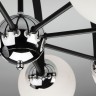 Потолочный светильник Eurosvet 70082/8 хром/черный Globe