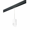 Комплект со светильником Rullo для трека PRO Rullo Lightstar PRORP348686