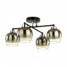 Люстра на штанге LUMION 5224/4C DESIREE